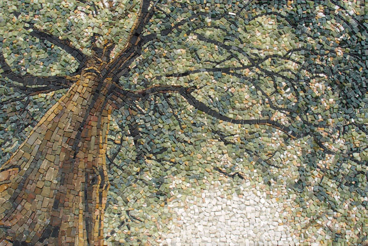Arbre — étude de lumière